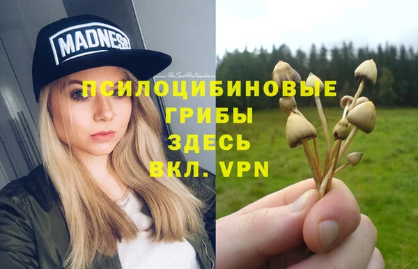 тгк Бугульма