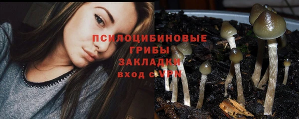 mix Бородино